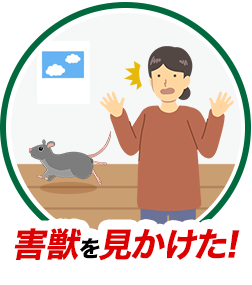 害獣を見かけた！