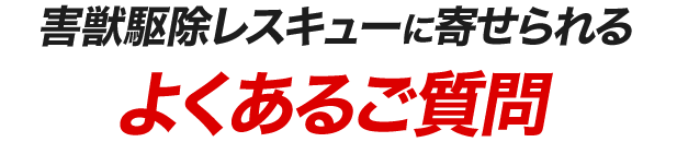 害獣駆除レスキューに寄せられるよくあるご質問