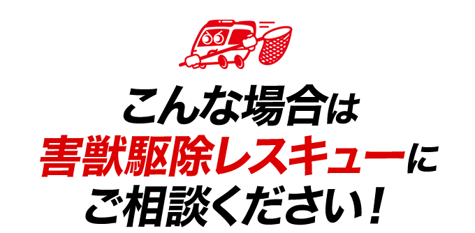 こんな場合は害獣駆除レスキューにご相談ください！