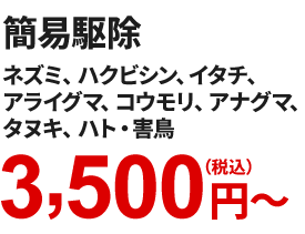 簡易駆除　ネズミ、ハクビシン、イタチ、アライグマ、コウモリ、アナグマ、タヌキ、ハト・害鳥　3,500円～