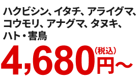 ハクビシン、イタチ、アライグマ、コウモリ、アナグマ、タヌキ、ハト・害鳥　4,680円～