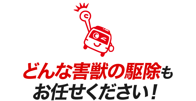 どんな害獣の駆除もお任せください！