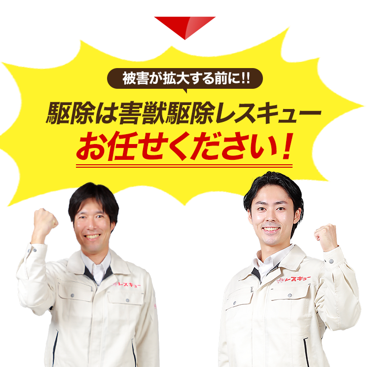 被害が大きくなる前に駆除は害獣駆除レスキューにお任せください！