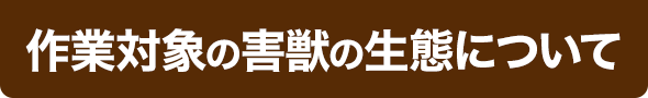 無料現地調査
