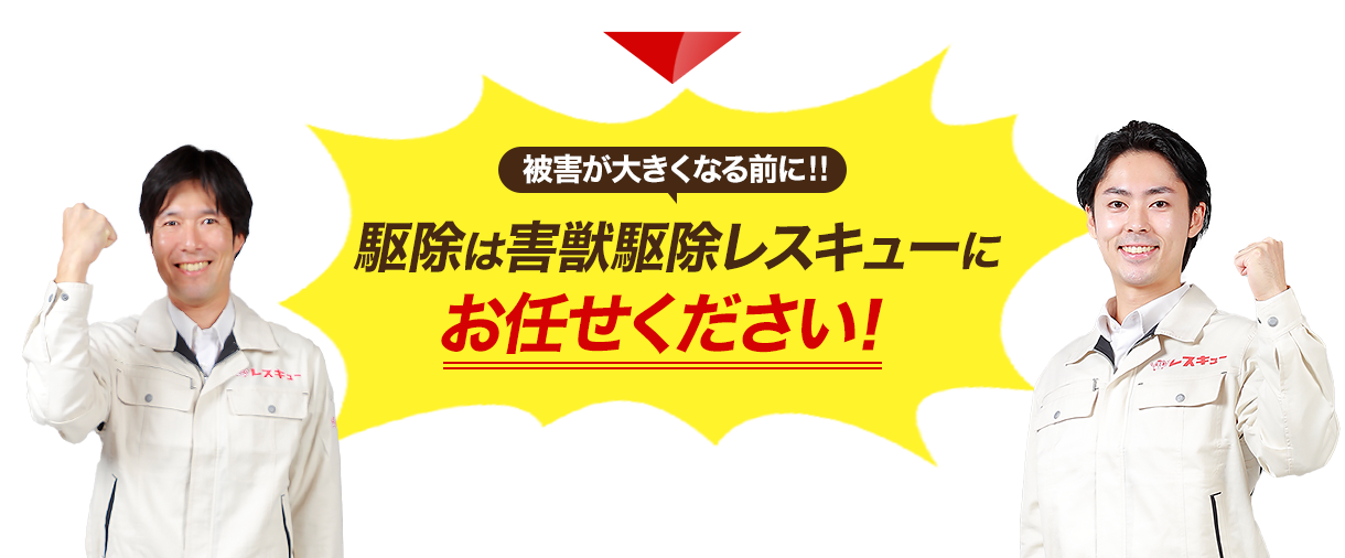 被害が大きくなる前に！駆除は害獣駆除レスキューにお任せください！